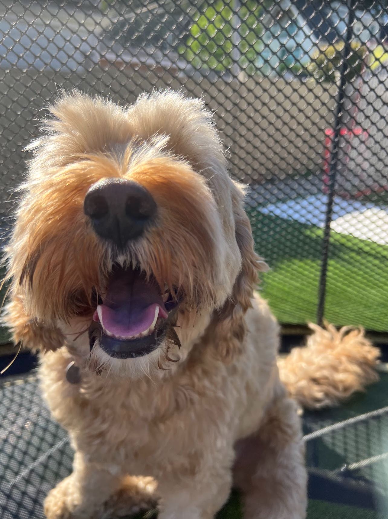 ozzyhappytrampoline